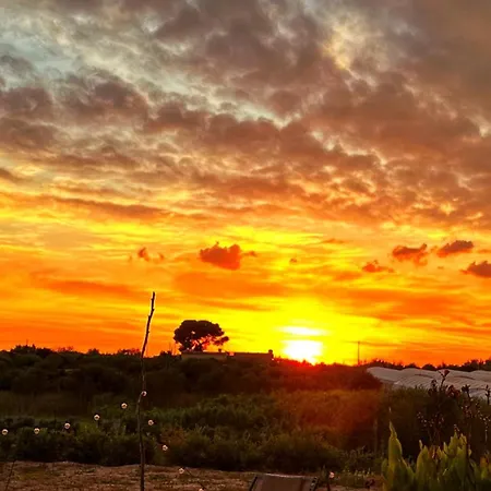 Ciriga Sicily Glamping Resort * Santa Maria Del Focallo