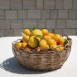 Ciriga Sicily Glamping Luksustelt Santa Maria Del Focallo