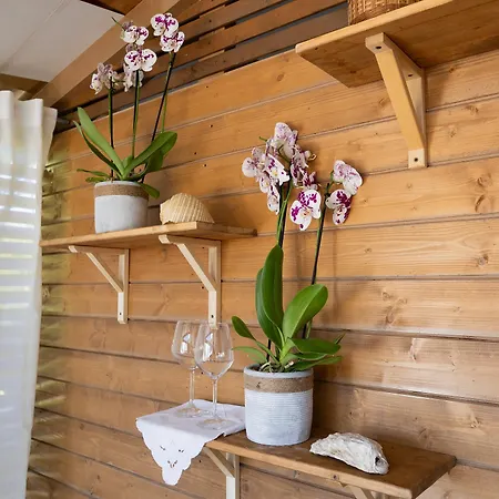 Campo de lujo Ciriga Sicily Glamping