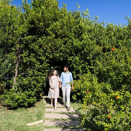 Ciriga Sicily Glamping * Santa Maria Del Focallo