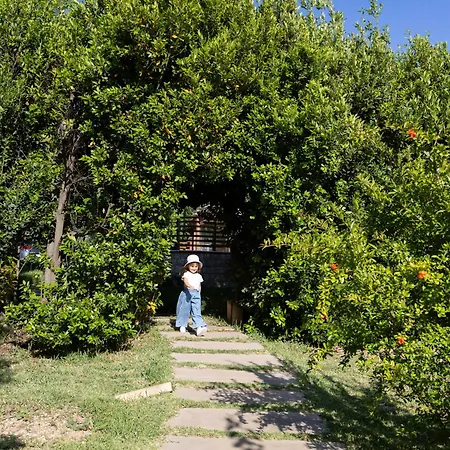 Luxussátor Ciriga Sicily Glamping Santa Maria Del Focallo
